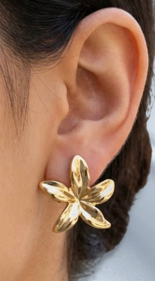 Boucles d'oreilles Héléna